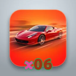 x06